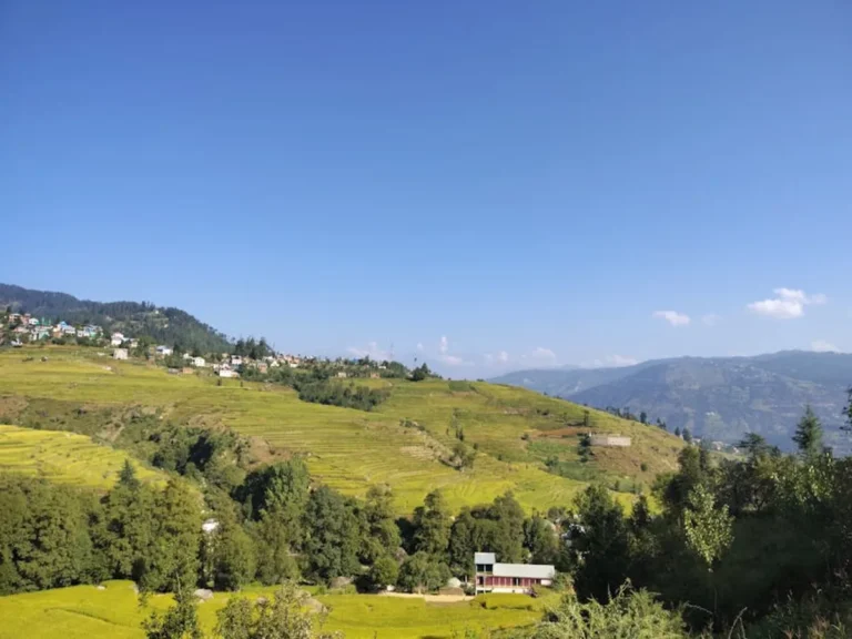 Jibhi Travel Guide: Places to Visit, Stay, and Explore