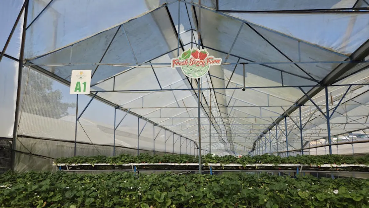 Organic Food Buying Guide for Beginners